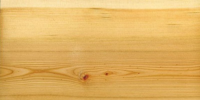 abeto douglas o pino oregón