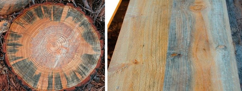 azulado de la madera