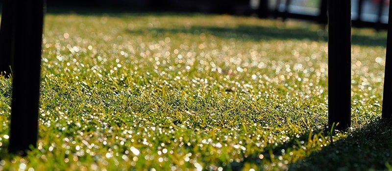 Tipos de césped artificial