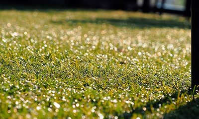 Césped Artificial: Características, Tipos, Instalación y Mantenimiento