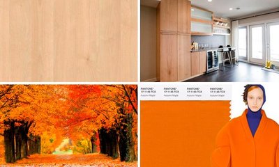 El Color Maple o Arce: Moda y Hogar