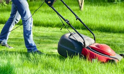 Cortadora de Césped: Tipos, Usos y Consejos