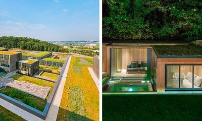 Qué son los Techos o Tejados Vegetales y Qué Ofrecen