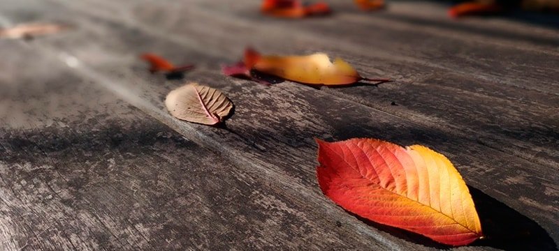 tarima exterior madera gris