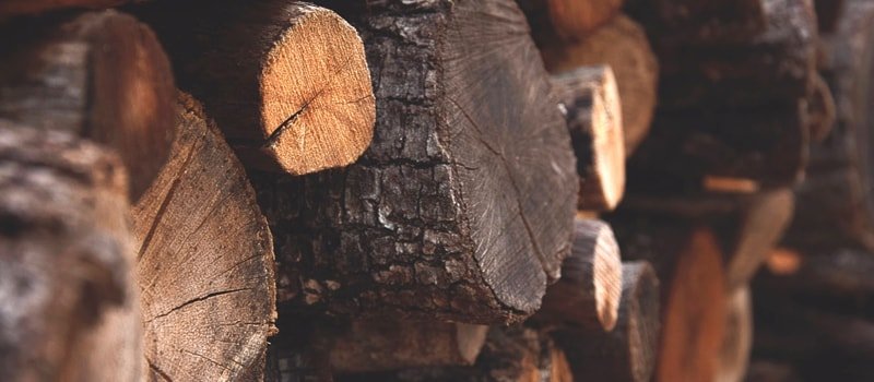 densidad de la madera