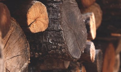 La Densidad de la Madera: Definición y Clasificación