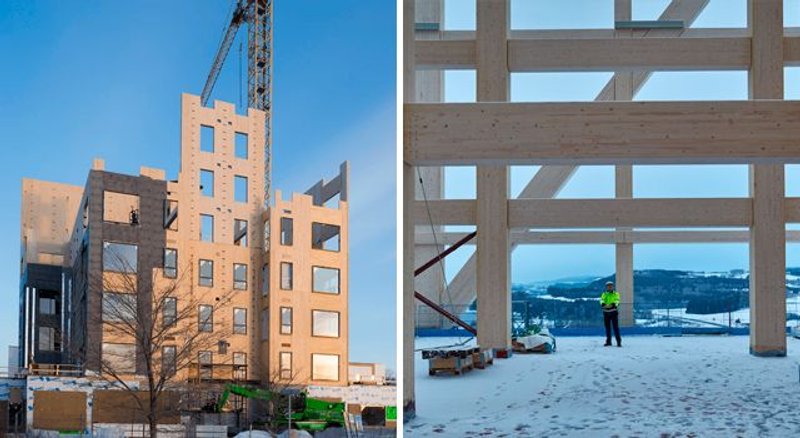 edificaciones en madera