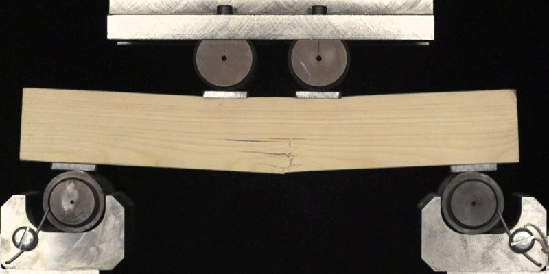 elasticidad de la madera flexión