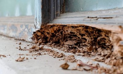 Endurecedor para Madera: Propiedades y Uso