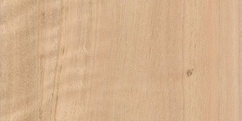 madera de eucalipto blanco