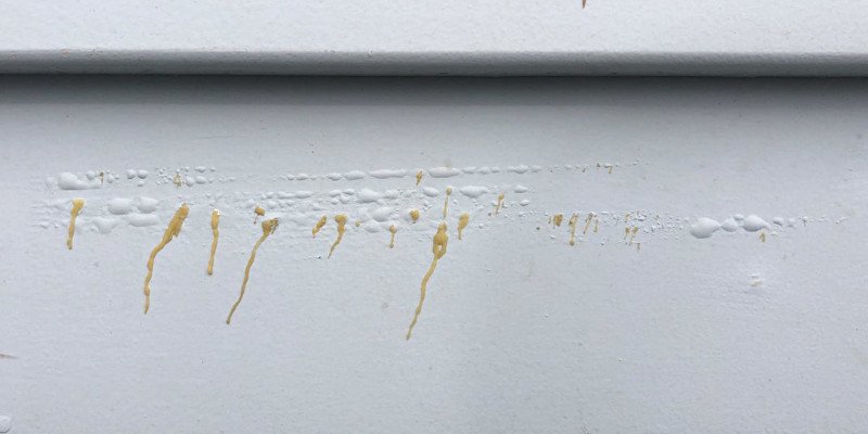 extracto en madera pintada