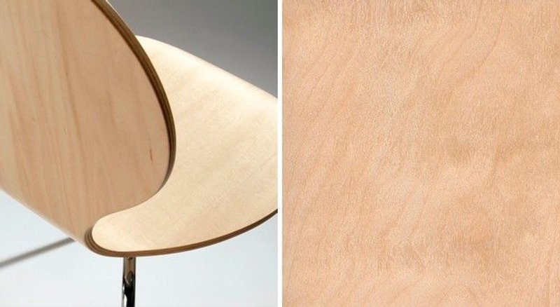 características abedul