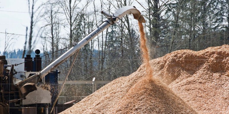 maderas para hacer papel