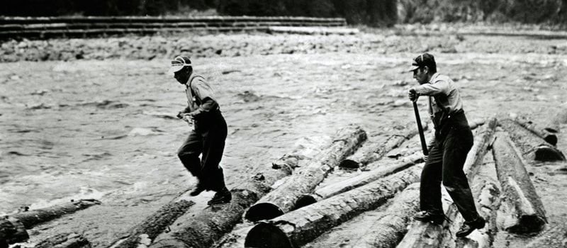 tipos de madera que no flotan