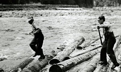 Madera que No Flota en el Agua: Justificación y Especies