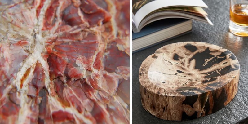 madera petrificada de árboles