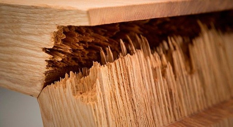 maderas duras y blandas