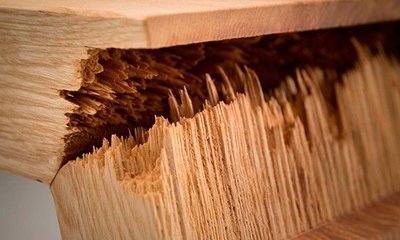 Maderas Duras y Blandas: Listado y Métodos de Clasificación