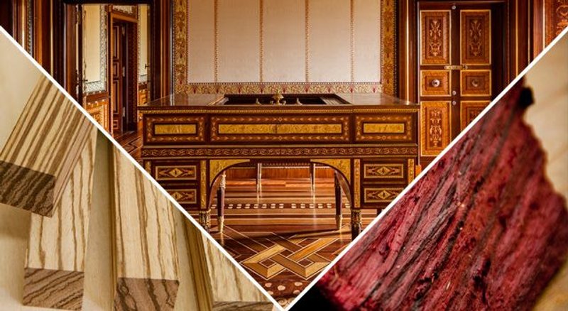 maderas nobles y preciosas