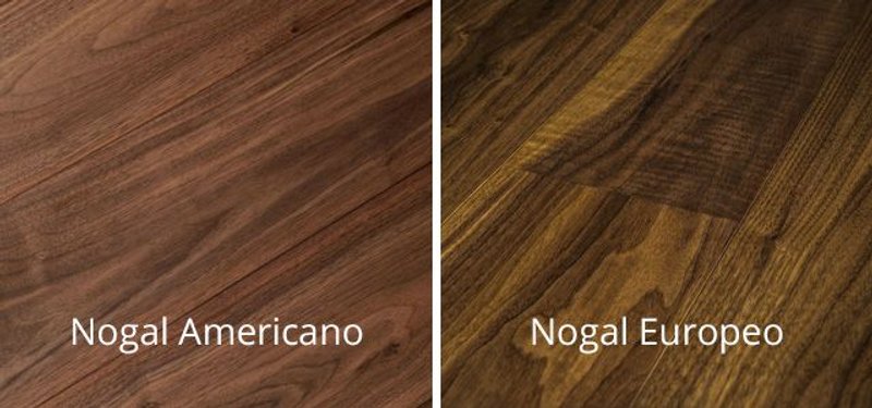 nogal europeo y americano