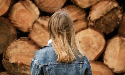 Partes de la Madera y sus Funciones