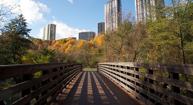 tipos de pasarelas de madera
