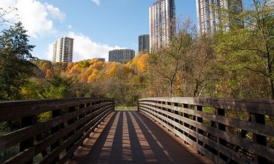 Pasarelas De Madera: Tipos, Maderas a Utilizar y Recomendaciones