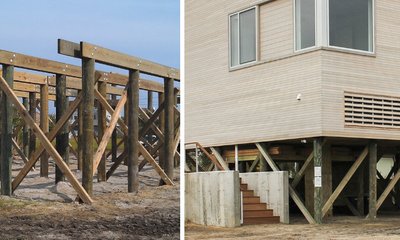 Pilotes de Madera: Propiedades, Especies, Durabilidad y Ejemplos