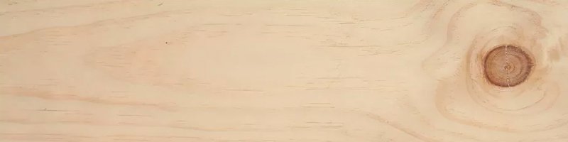 pino radiata o insignis