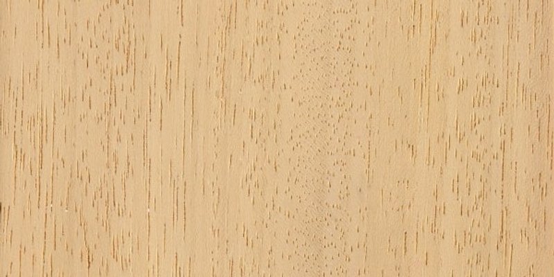 madera de ayous o samba