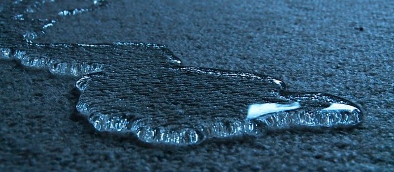 secar moqueta mojada