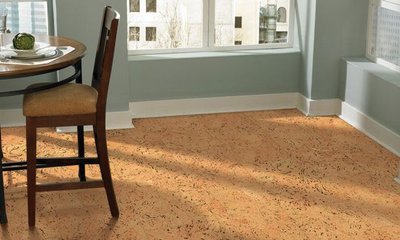 Pisos y Suelos de Corcho: Ventajas y Desventajas