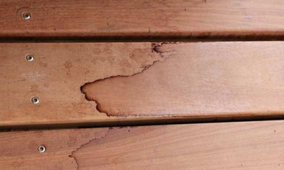 Taninos de la Madera: Efectos, Soluciones y Especies Problemáticas