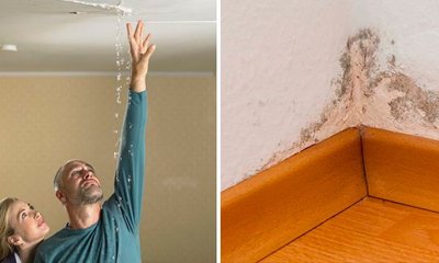 Tipos de Humedades en Casas y Posibles Soluciones