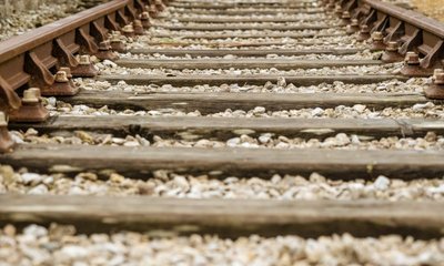 Traviesas de Madera: Características, Usos, Durabilidad, Especies