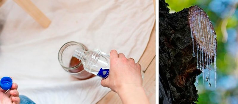 aguarrás o trementina