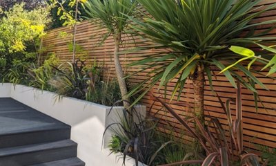 Vallas de Madera: Tipos, Tratamiento y Precios