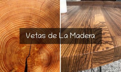 Las Vetas de La Madera: Tipos e Importancia