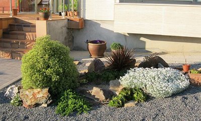 ¿Qué es la Xerojardinería o Jardines de Bajo Consumo?